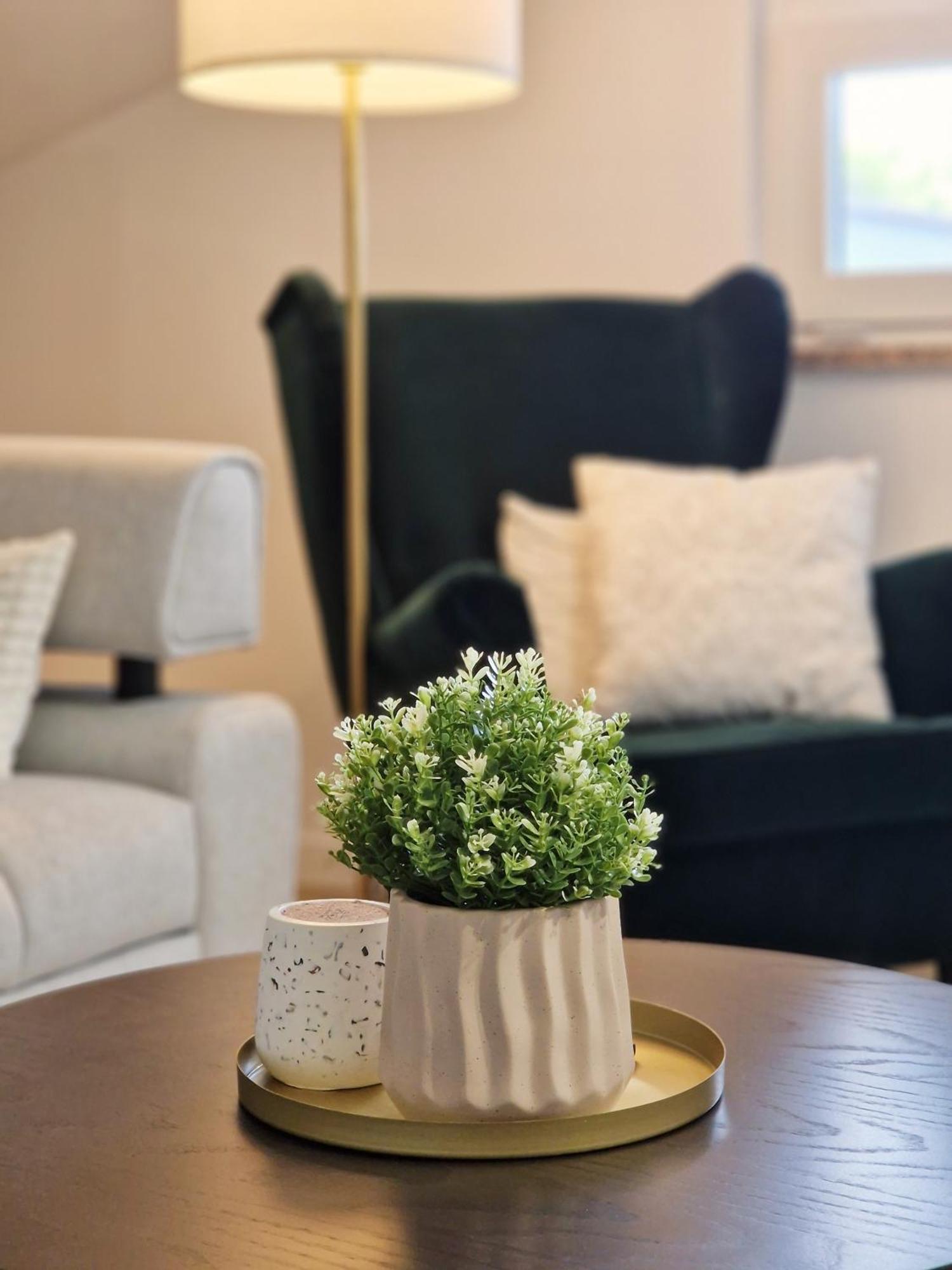 Apartments Jasna Ρόβινι Εξωτερικό φωτογραφία